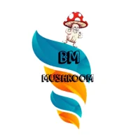 BM MUSHROOM
